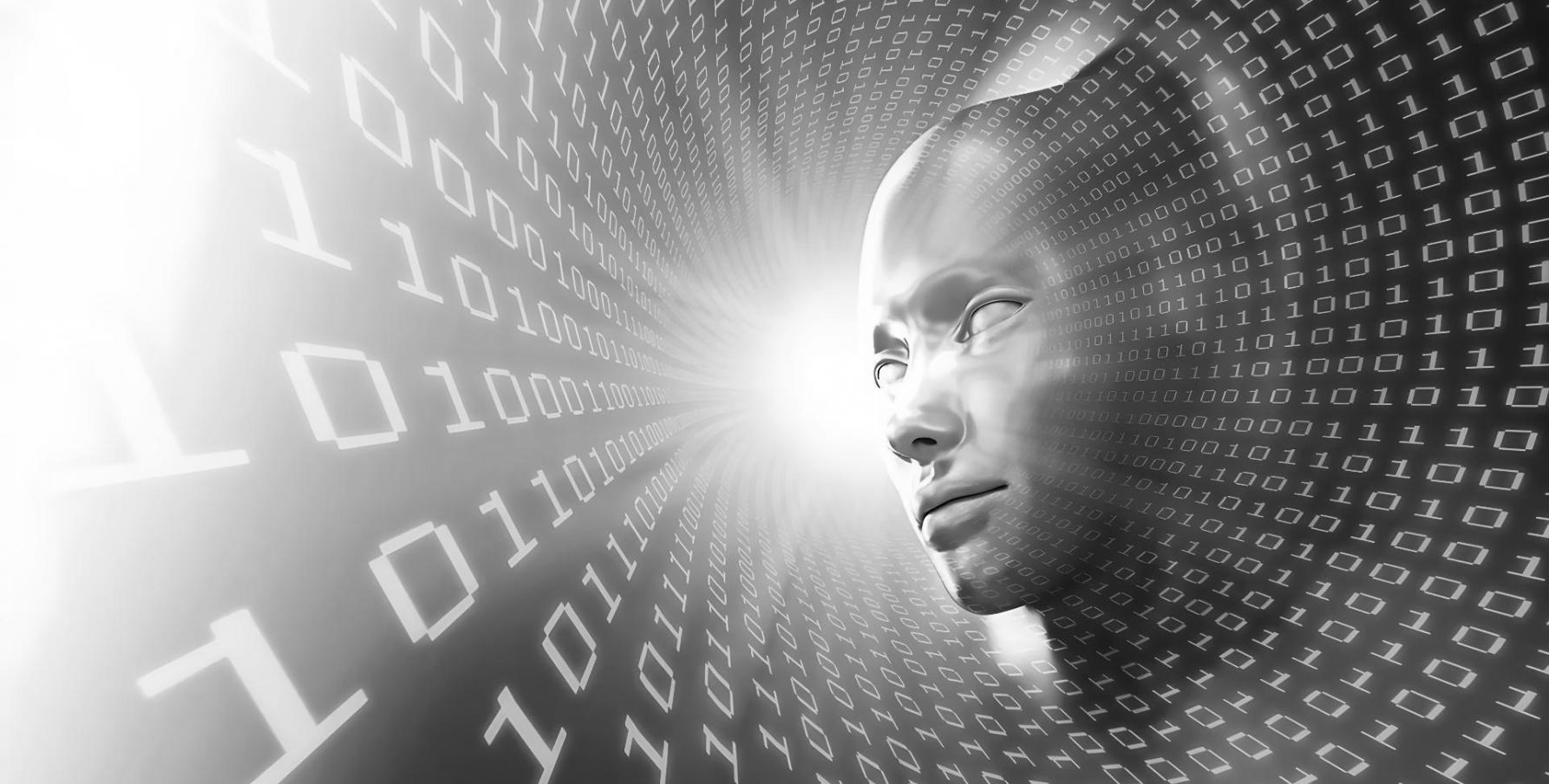 Environnement de travail en machine learning